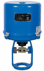 3810L直行程電動(dòng)執(zhí)行器